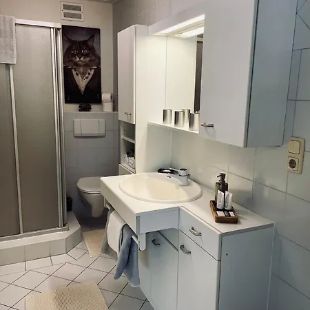 Apartment In Neukirchen Near Ski Lift * Wald im Pinzgau