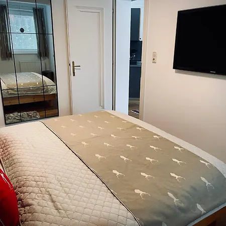 Apartment In Neukirchen Near Ski Lift *